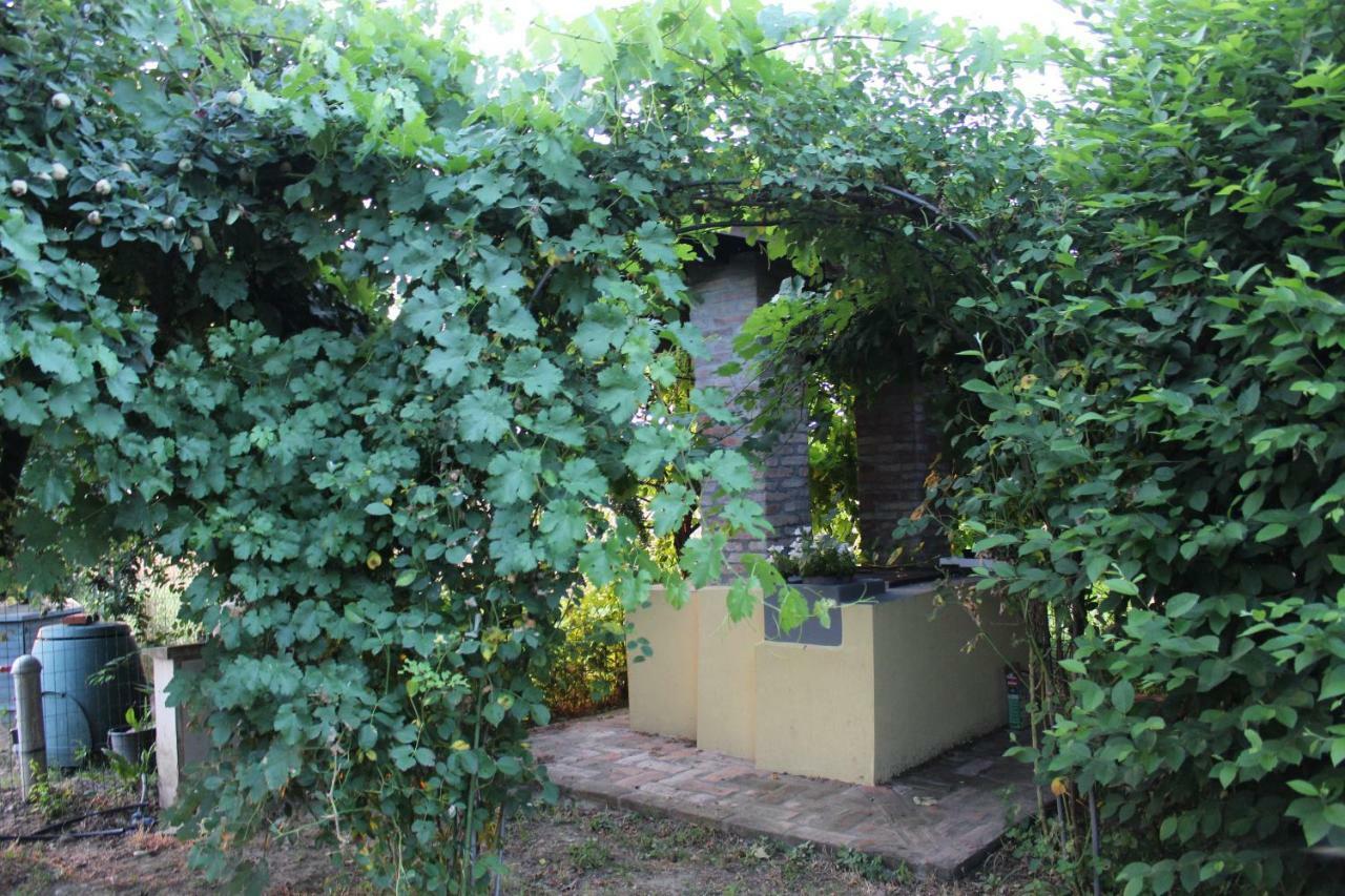 B&B Il Pozzo Castenaso Exterior foto